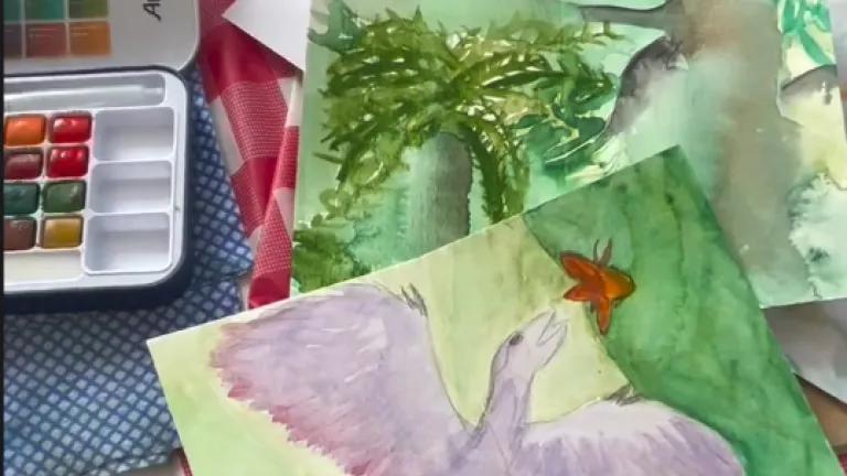 Art for Wellbeing with Shorelark Arts CIC