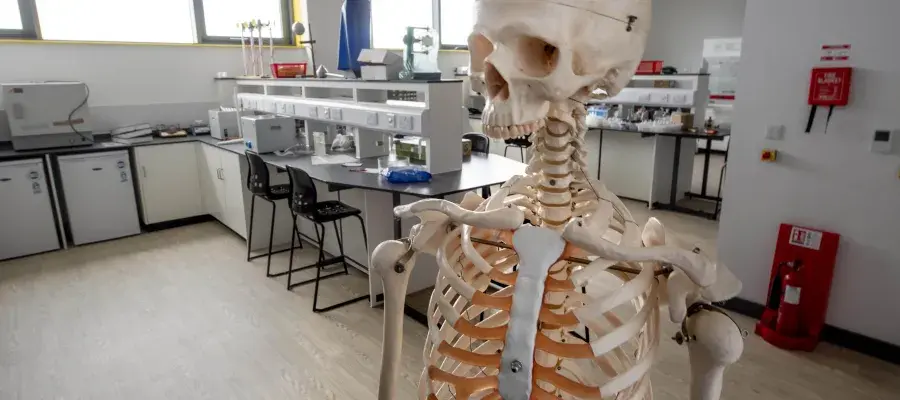 Skeleton at Bioquarter