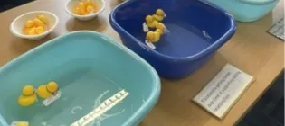 Voting with ducks at a Sibling Data Cafe 
