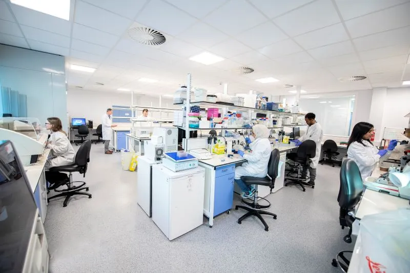 Scientists working in lab at the Institute of Genetics and Cancer.