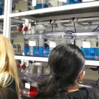 Liberton School visit to meet zebrafish and axolotls