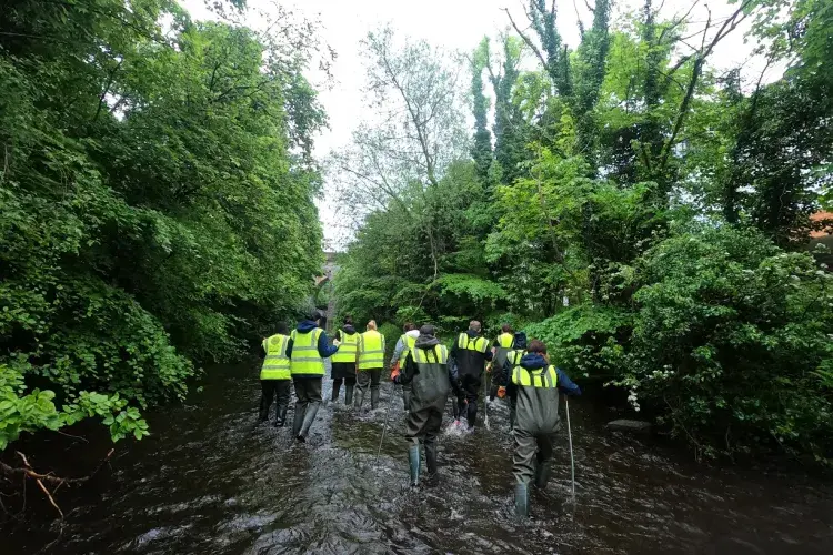 Teaching Operations team wading along the Water of Leith. Staff volunteering.