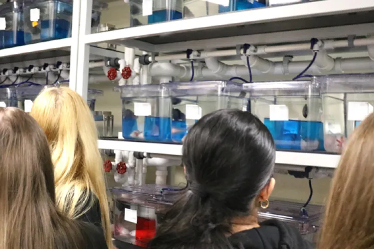 Liberton School visit to meet zebrafish and axolotls