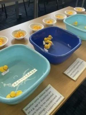 Voting with ducks at a Sibling Data Cafe 