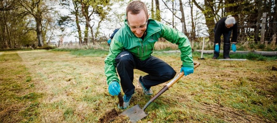 Image of man planting a tree