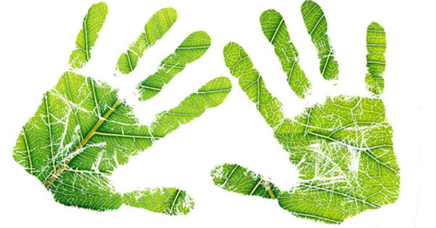 Green handprints