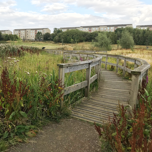 Image shows green space and foot bridge at Hailes Quarry Park, image credit Alexandra Kuklinski