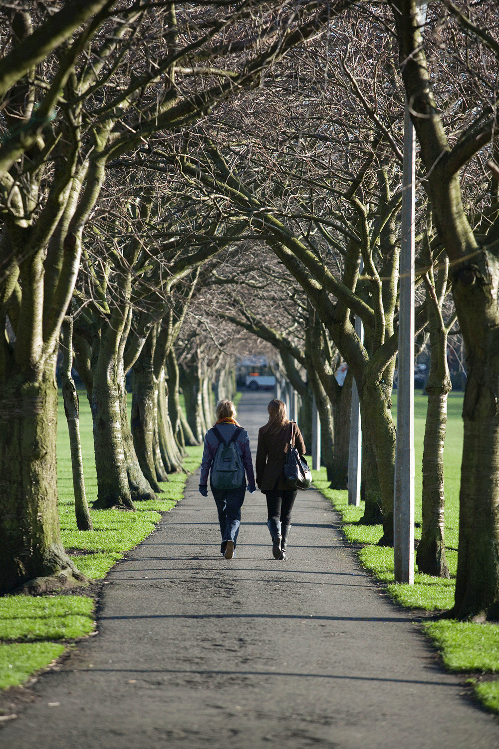 meadows-students